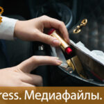  WordPress
