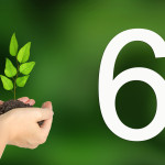  6-    :     .
