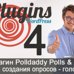  Polldaddy Polls & Ratings   -      WordPress