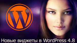 Новые виджеты в WordPress 4.8