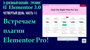 Как приобрести плагин Elemenor Pro, установить на сайт и активировать лицензию